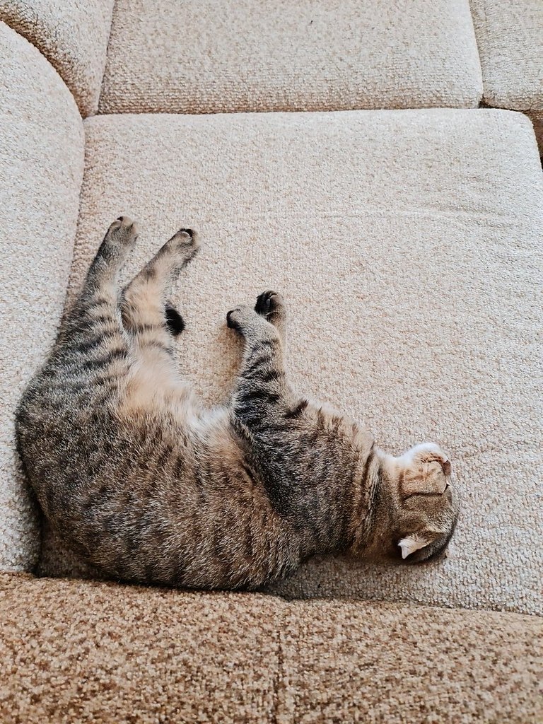   :     3D.    - 3