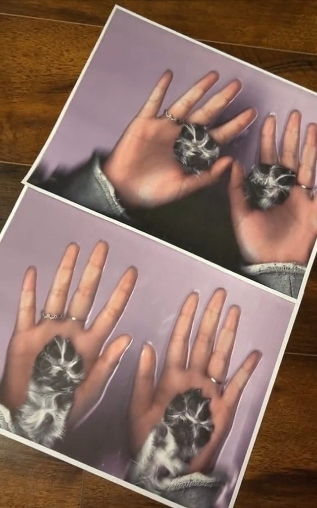 ,   !  - 2