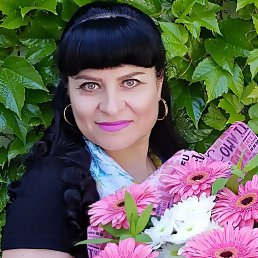 �����, ������, 56 ���