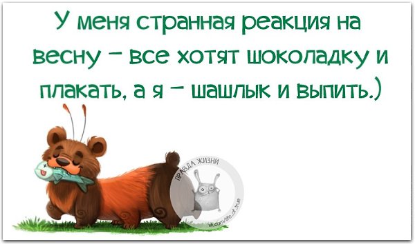 ������ ����� - 19 ����� 2021 � 11:44