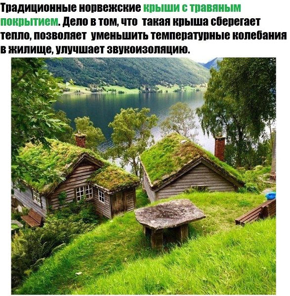 LIFE -  - 12  2021  10:19