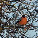 ���� ����, ���� - ��������� 23 ������ 2021 � ������ ���� ����������