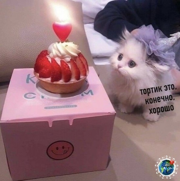 opoo o o aooo c caoc: anim aea  - 3