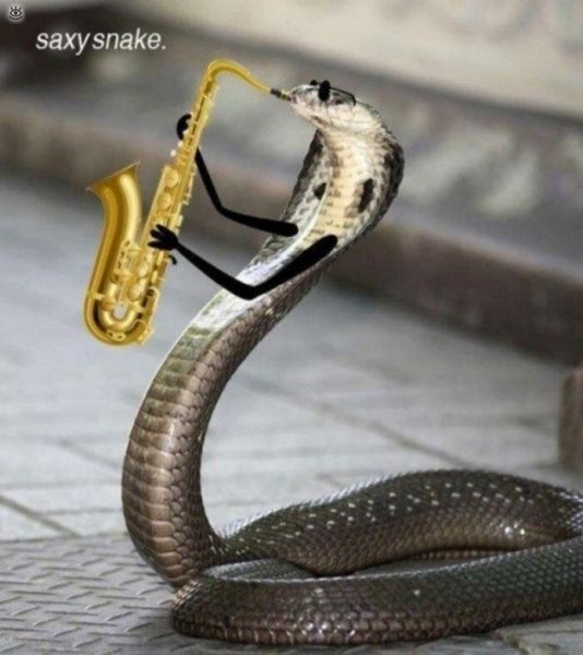 ���� �� � ���� ���� ����� - 8
