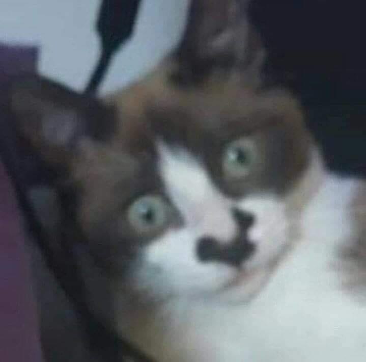      : - 3