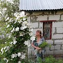 ���� A���������, �������� - ��������� 11 ������� 2020 � ������ ���������� ������