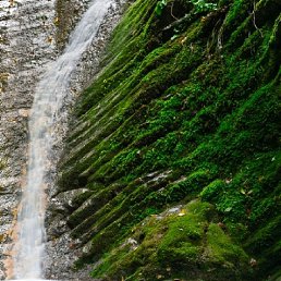 ������, ������, 40 ���