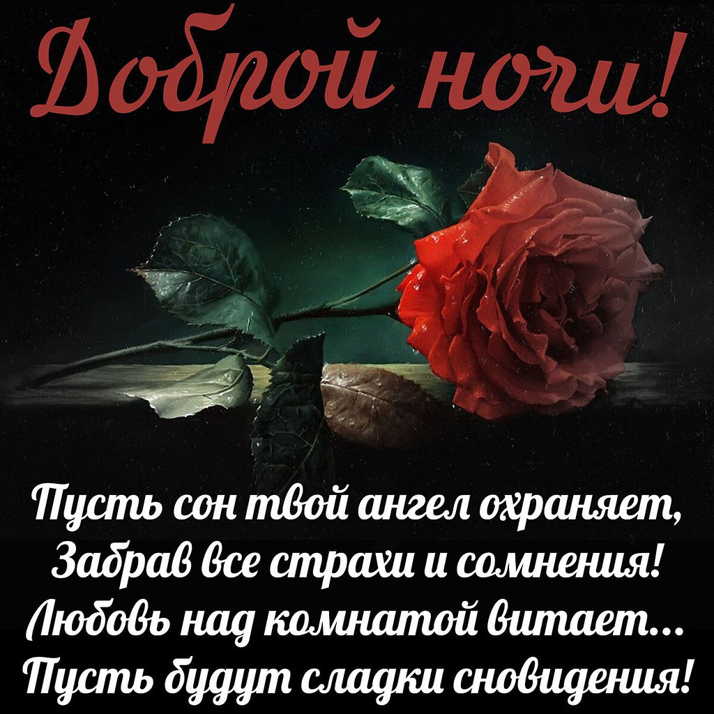   ,    . - 19  2020  21:29