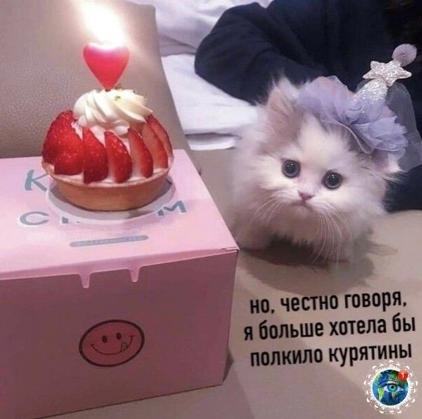 opoo o o aooo c caoc: anim aea  - 4