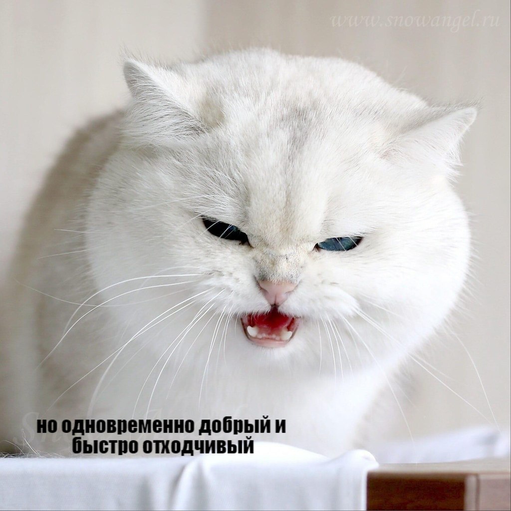       - 27  2020  18:53 - 2