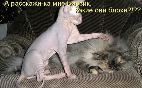 ��� �������� �������� - 17 ������� 2021 � 07:19