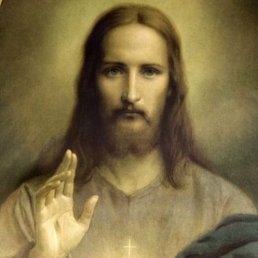 Fluttershy, ������, 22 ����