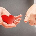 ���� �������, �����, 64 ���� - ��������� 20 �������� 2020