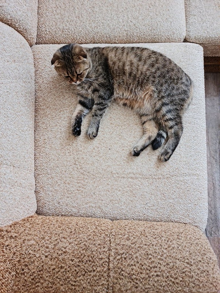   :     3D.    - 4