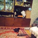 ���� ��������, ����������, 65 ��� - ��������� 11 ������ 2021 � ������ ���� ����������