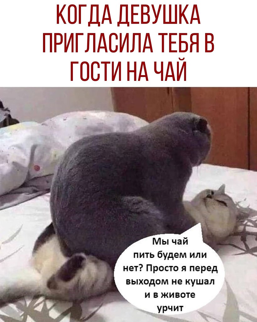  - 17  2020  18:41