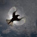 ���� �������, ������, 47 ��� - ��������� 28 ������� 2020 � ������ ���� ����������