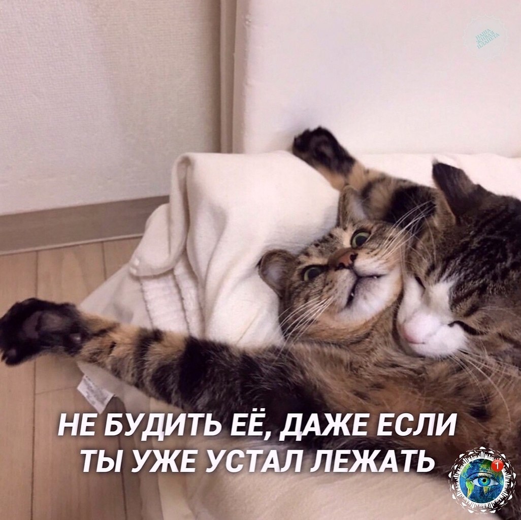 �a� �o� �� �a�a� ����� c�����a�.������� - 4