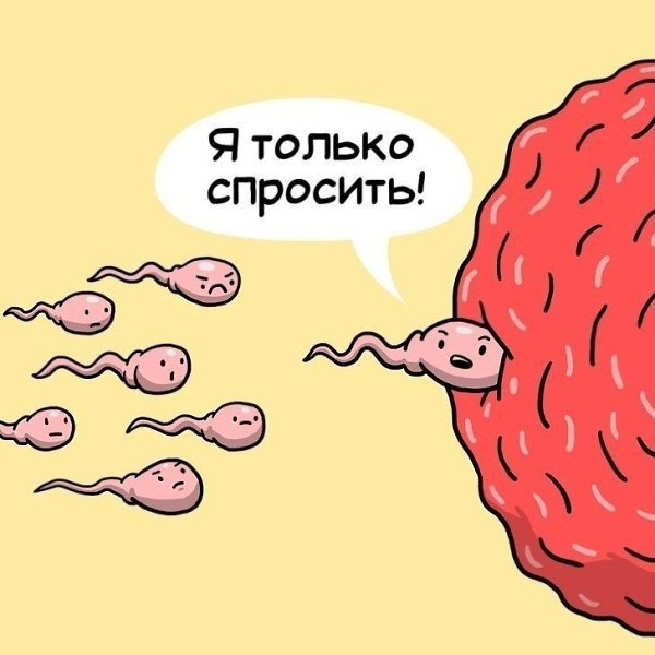Классные комиксы про наши органы