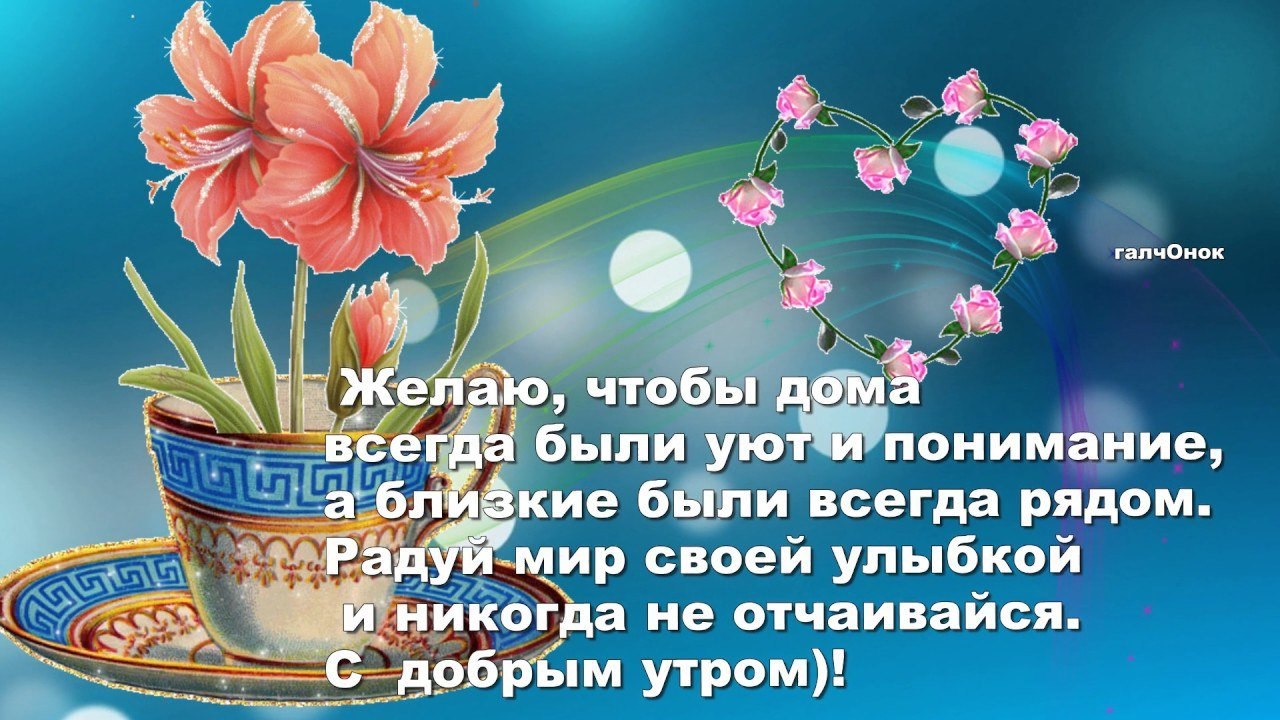 ПРИВЕТСТВИЯ и ПОЖЕЛАНИЯ, открытки на каждый день. опубликовал пост от 31  октября 2020 в 00:41 | Фотострана | Пост №2236930661