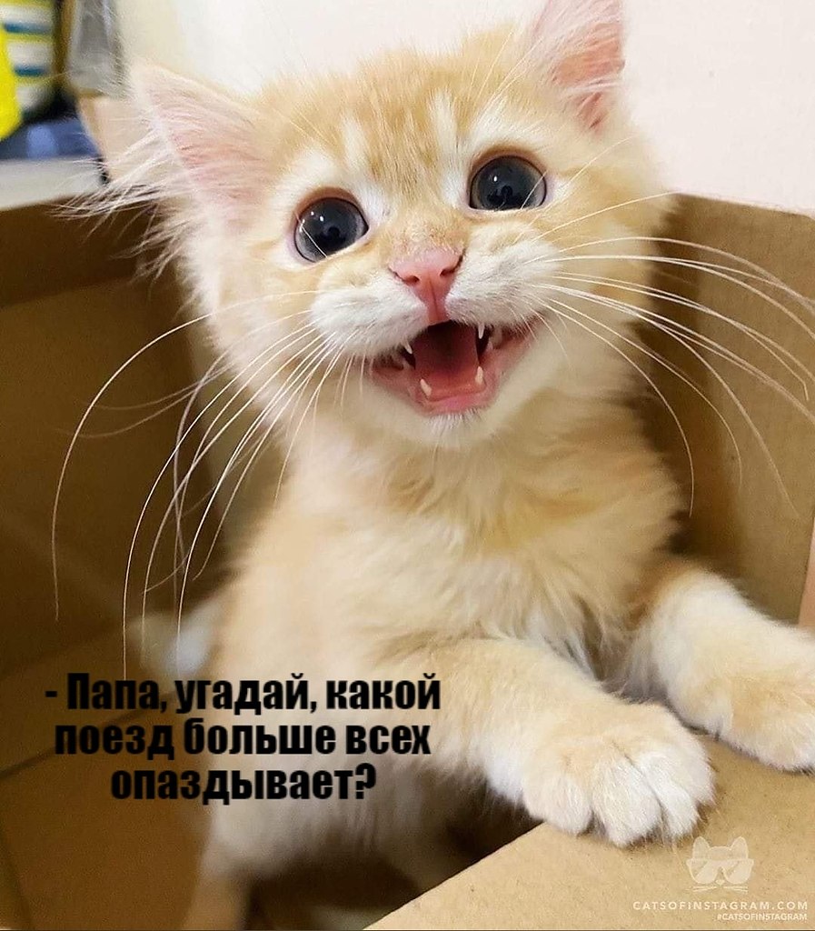       - 22  2020  19:02