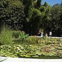  , , 68  -  9  2020    2020