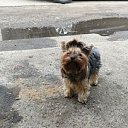 ���� �����, �������, 47 ��� - ��������� 4 ������ 2020 � ������ ��������ܻ