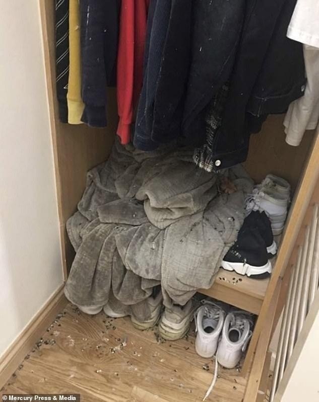         ,  ,    ... - 5