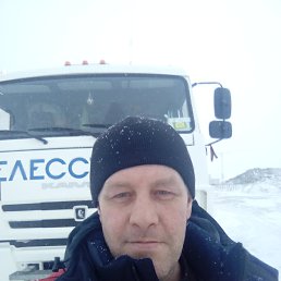 ���������, ����������, 46 ���