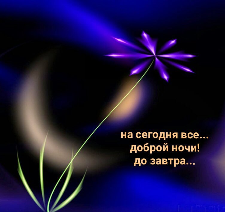   ,    . - 15  2021  21:49 - 3