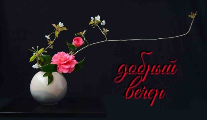  ,    . - 3  2021  18:08 - 4