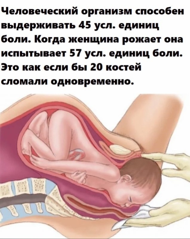 BEST | , ,  - 19  2020  19:07