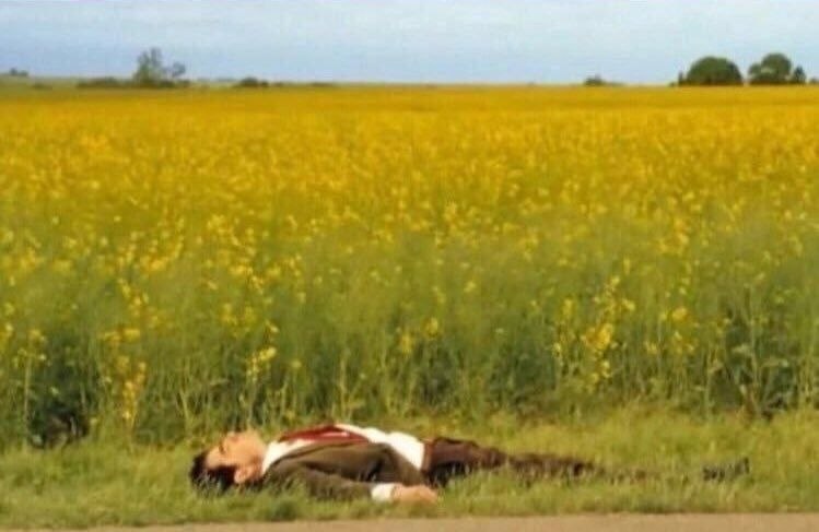 Примерно так я и решаю свои проблемы. Просто жду, когда пройдет время и всё само собой решится - 4