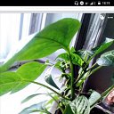 ���� ������, ������ - ��������� 11 ����� 2021 � ������ ���� ����������