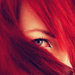 �������, ����������, 55 ���