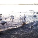 ���� �����, ������ - ��������� 6 ������� 2021 � ������ ����� 20-21�