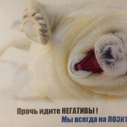  ������ ���, � ����� ����� !:-)