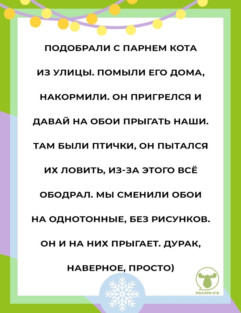 #���������@pn6