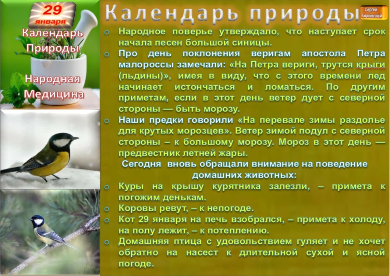   ,    . - 28  2021  21:49 - 7