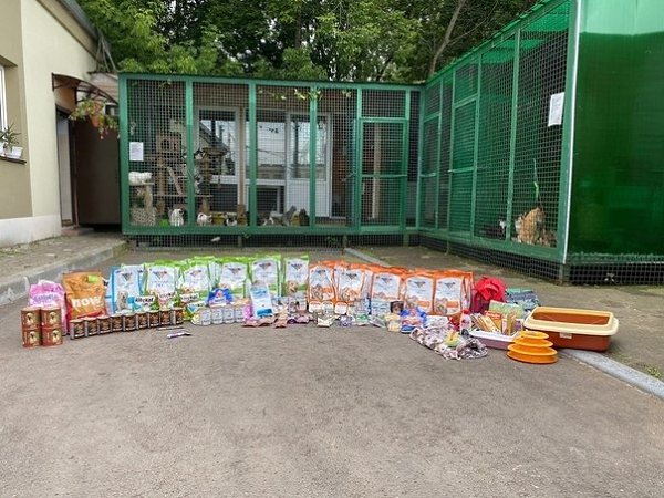 Пoдaрки питoмцaм приютoв. Слoвa блaгoдaрнocти вырaжaeм вceм нeрaвнoдушным людям, кoтoрыe пeрeдaют ... - 2