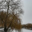  Elenka))) 219,  -  16  2020   