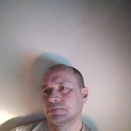 , 52, 