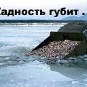  ,  -  13  2021   21527