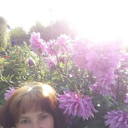 ����, ������������, 56 ���