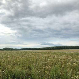 �����, ������, 49 ���