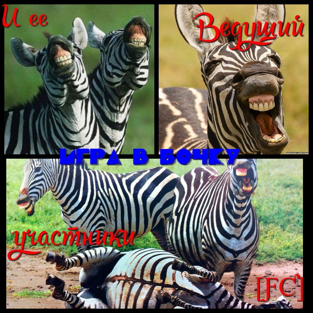 [ƑƇ] ƑƤƇŁŬƁ - 5  2020  12:32