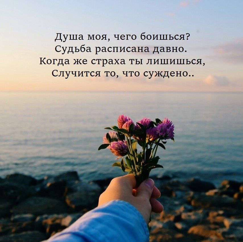   ,    . - 2  2020  20:19 - 3