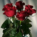 ���� ������, ������ - ��������� 13 ������� 2020 � ������ ������ ��������