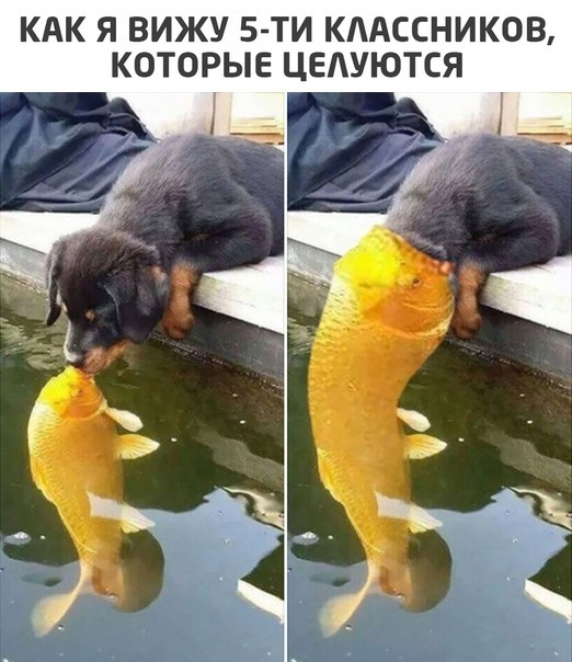   - 8  2020  01:41