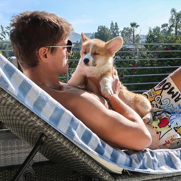 Алексей Воробьёв и его собака Элвис - YouTube